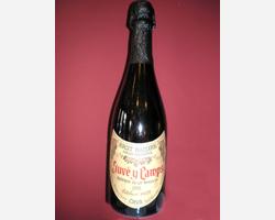 Cava juve y camps brut nature g.r.